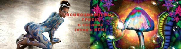 соль ск Зерноград