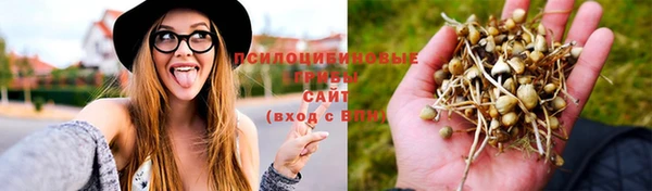 Альфа ПВП Зеленодольск