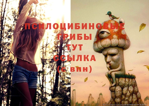 соль ск Зерноград